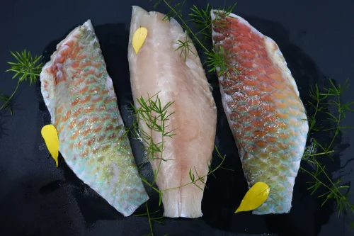 SKVN Group - IMG 7714