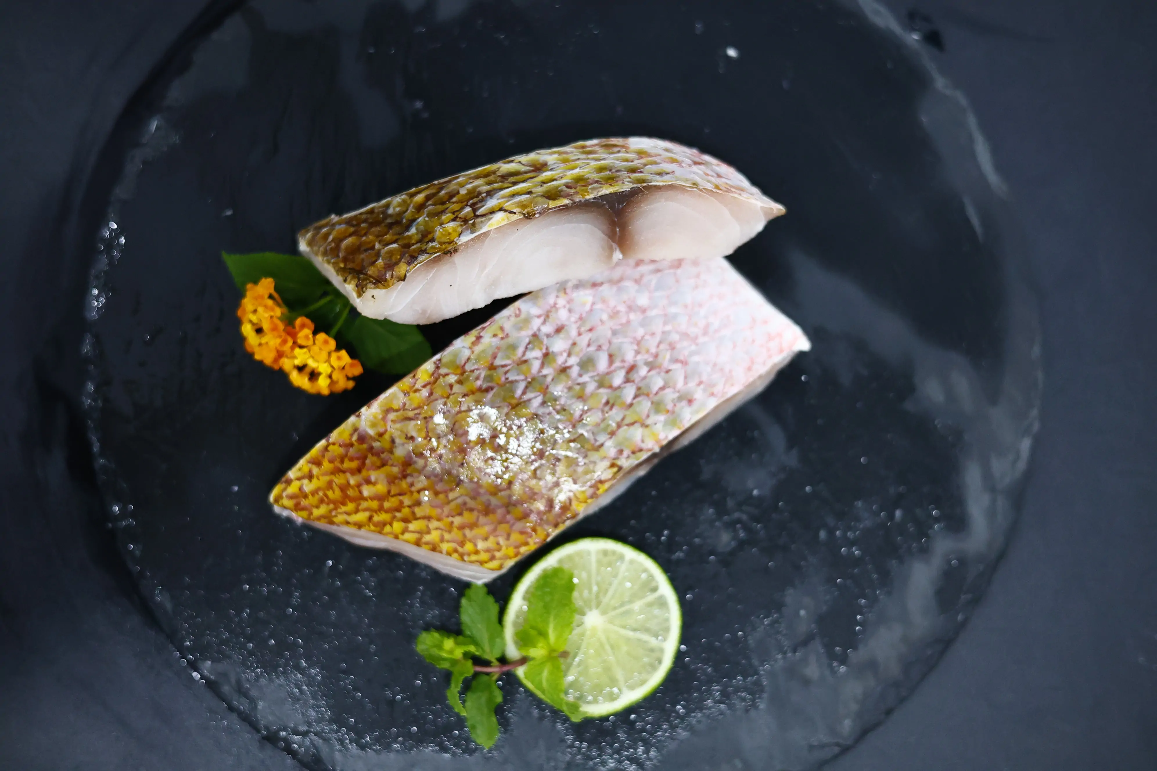 _MG_3779 SKVN Group - MG 3779