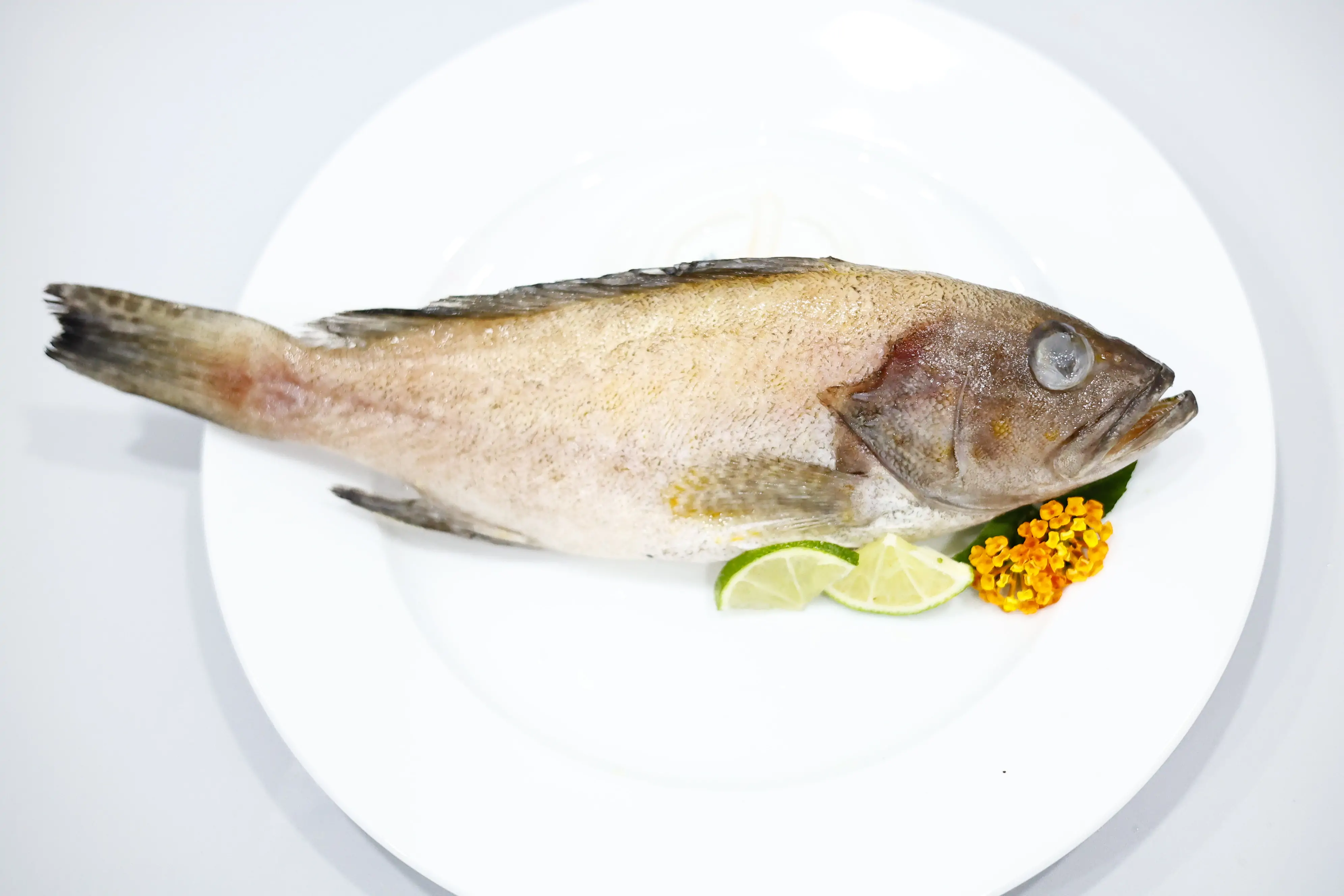 _MG_3809 SKVN Group - MG 3809