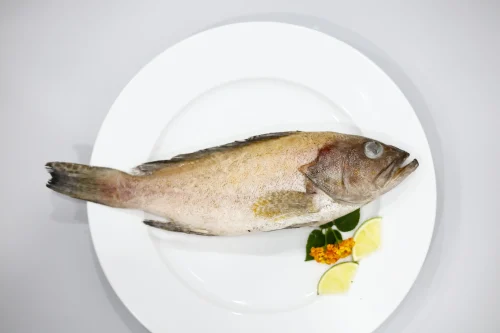 _MG_3827 SKVN Group - MG 3827