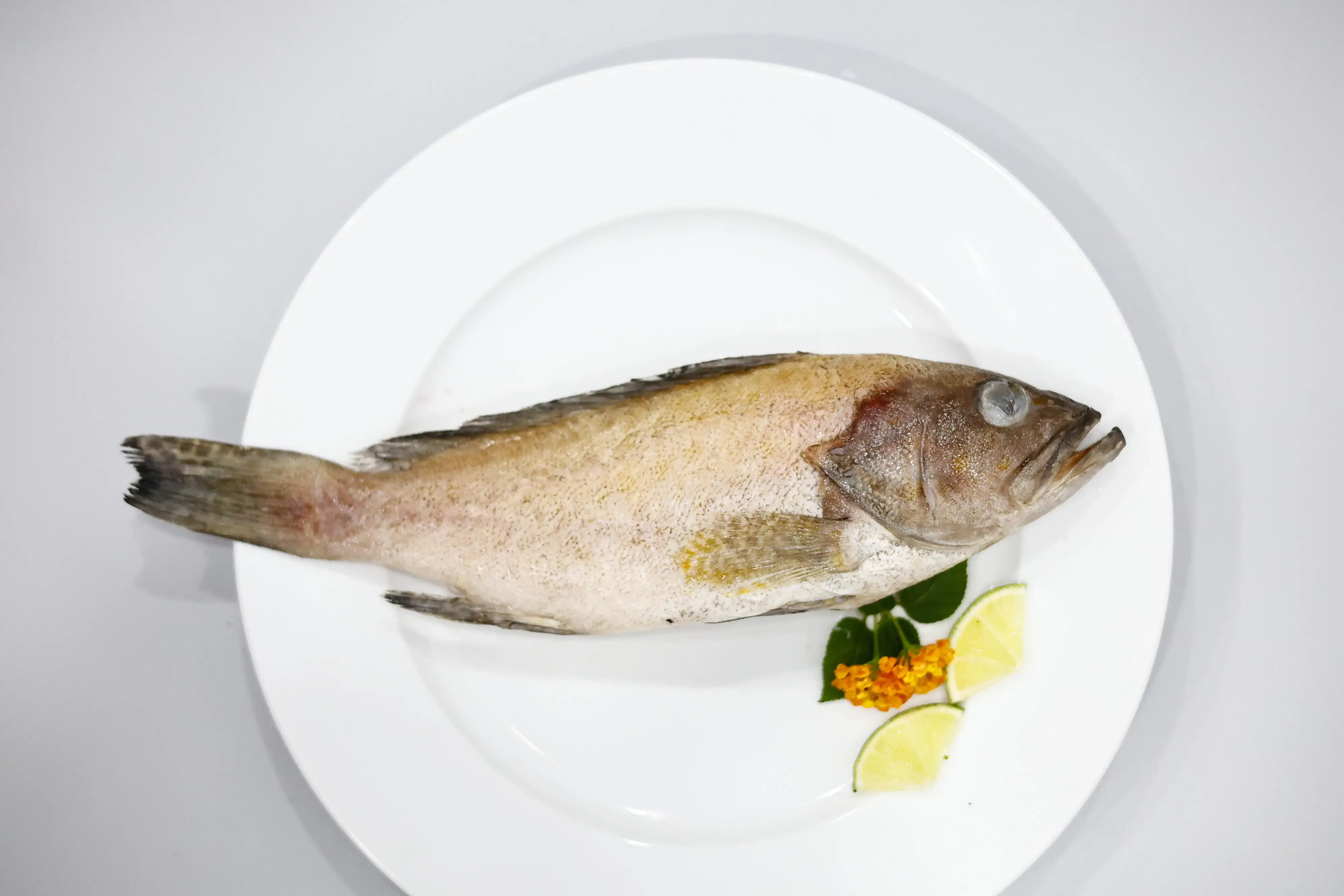 _MG_3827 SKVN Group - MG 3827