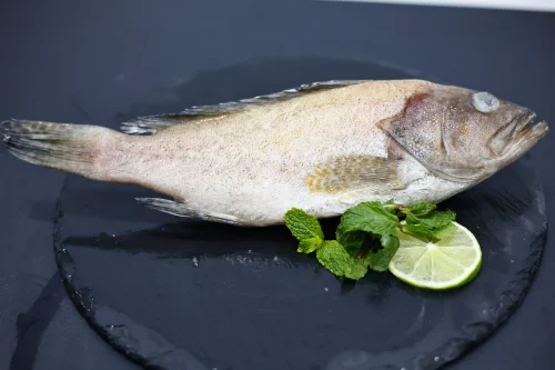 _MG_3838 SKVN Group - MG 3838