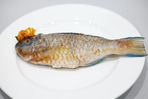 SKVN Group - MG 4049