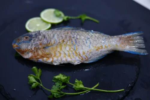 SKVN Group - MG 4076