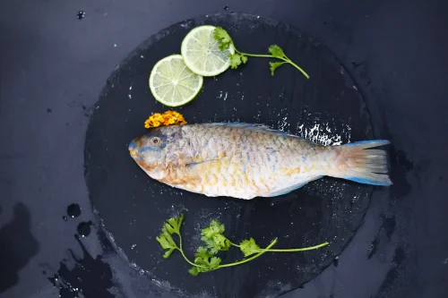 SKVN Group - MG 4084