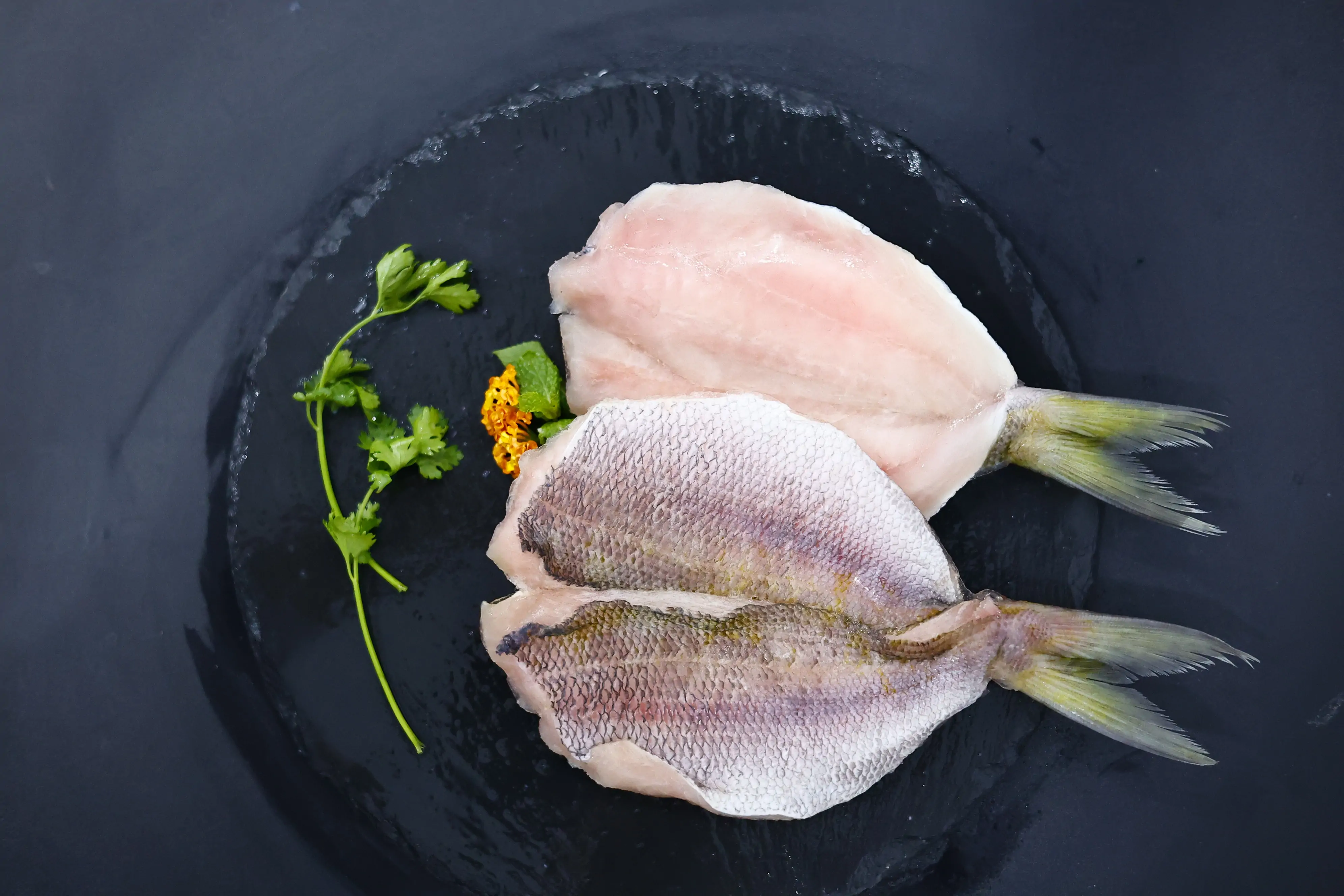 _MG_4153 SKVN Group - MG 4153