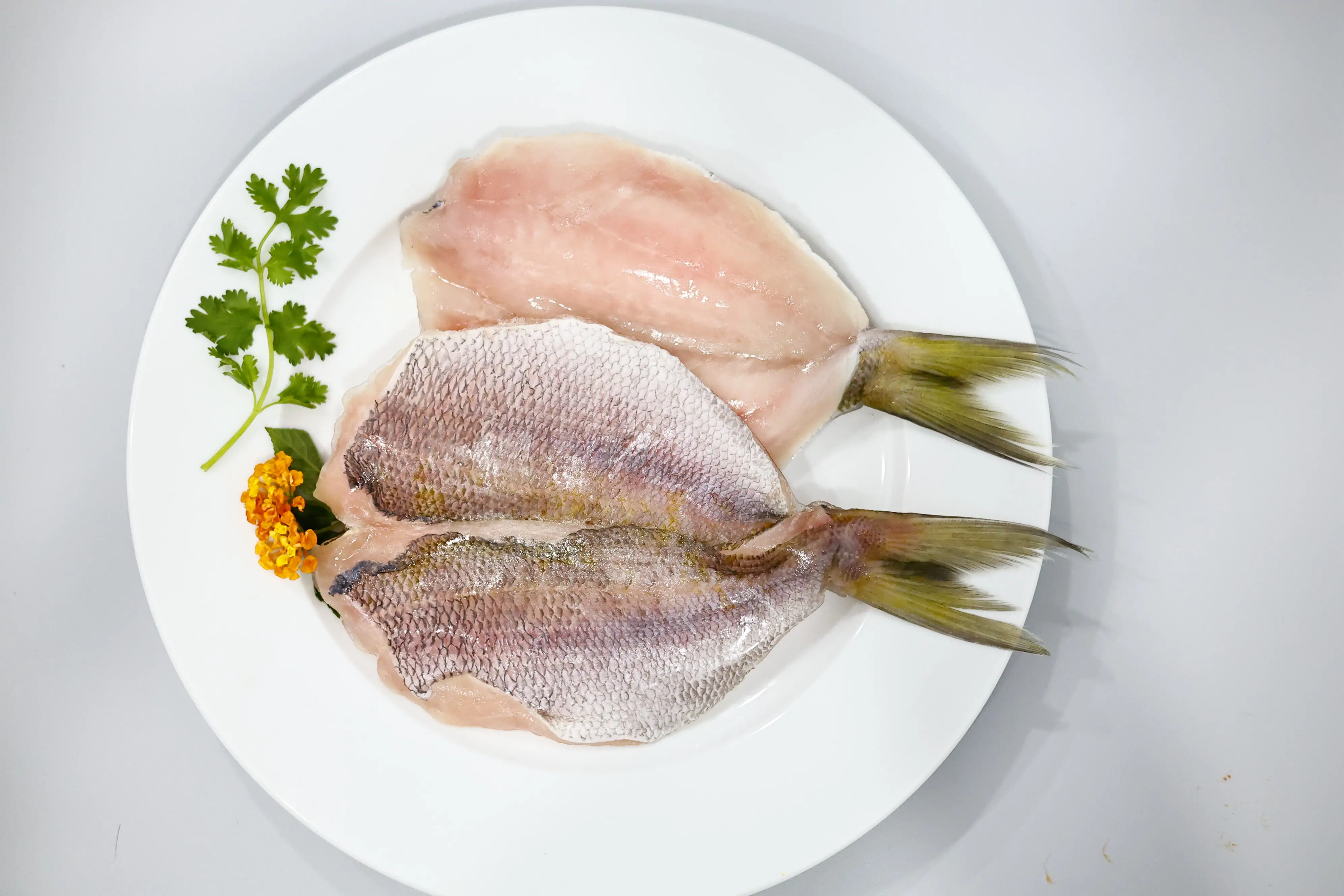 _MG_4175 SKVN Group - MG 4175