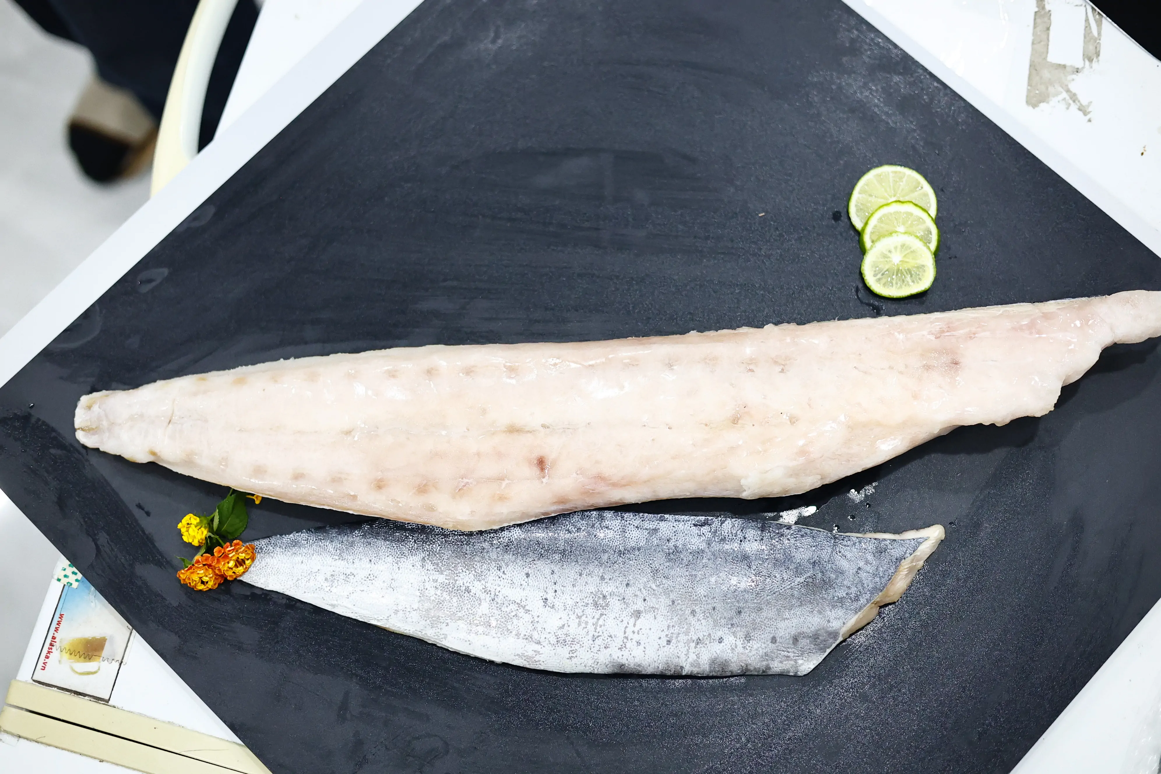 _MG_4241 SKVN Group - MG 4241