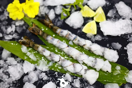 _MG_5421 SKVN Group - MG 5421