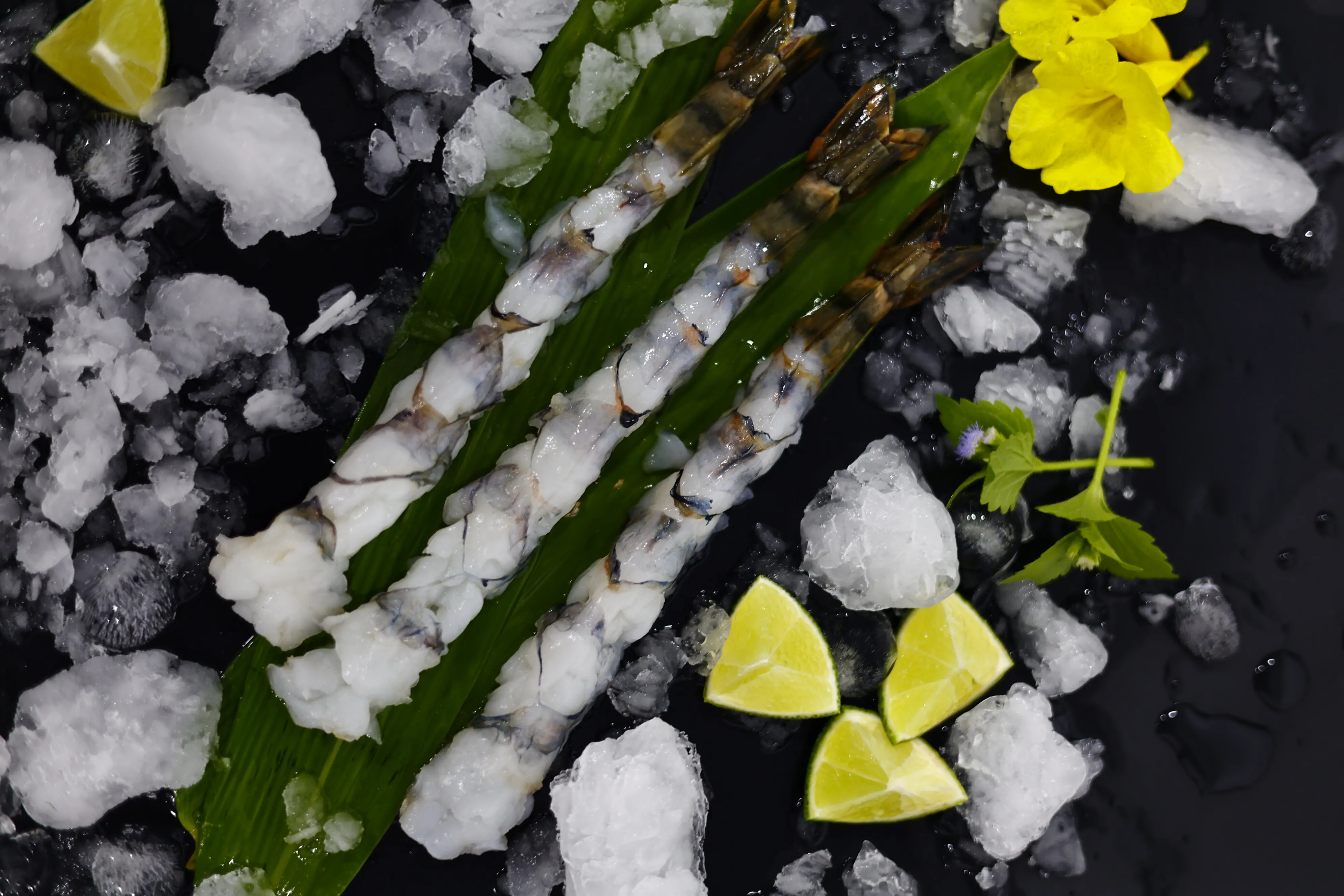 _MG_5435 SKVN Group - MG 5435