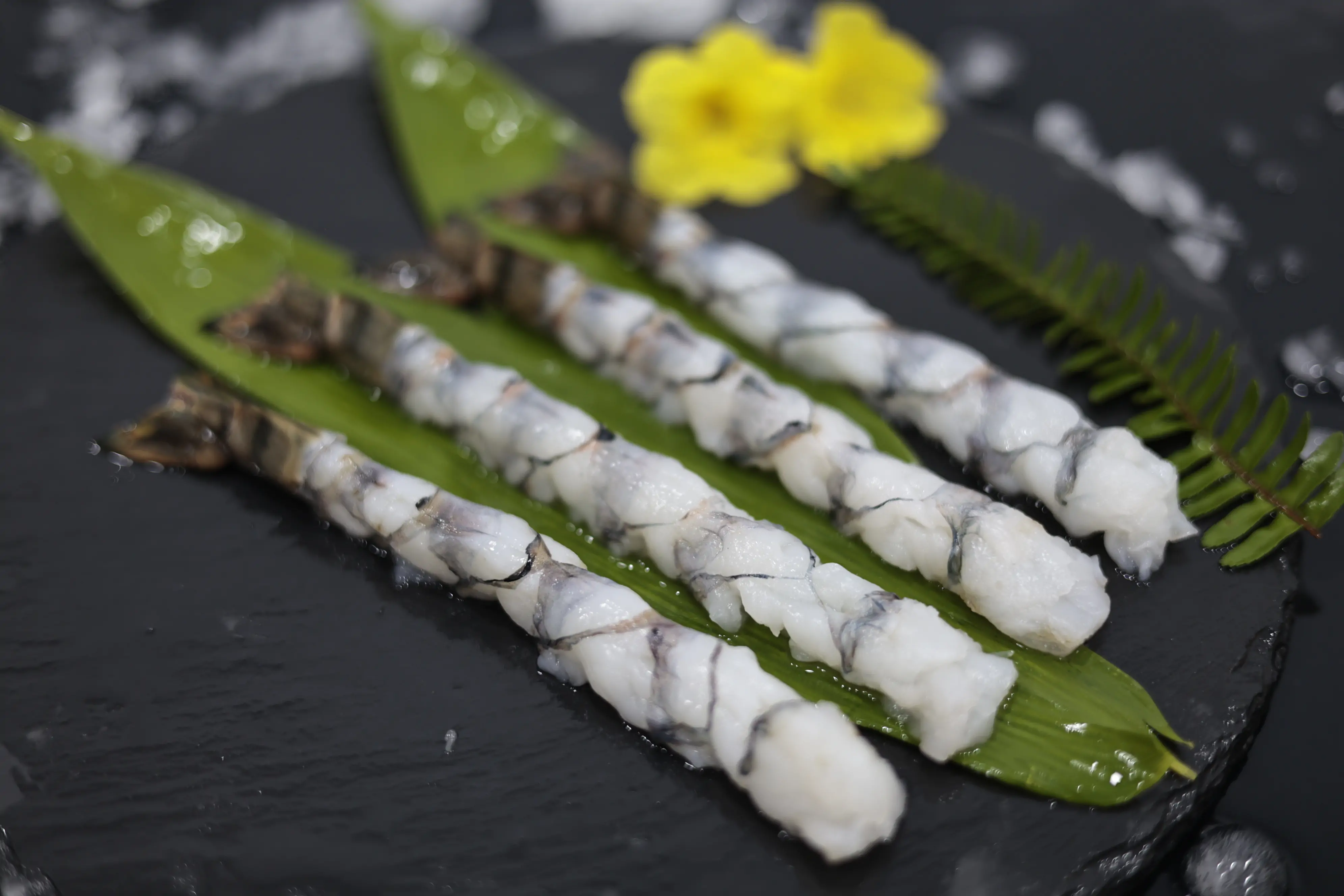 _MG_5456 SKVN Group - MG 5456