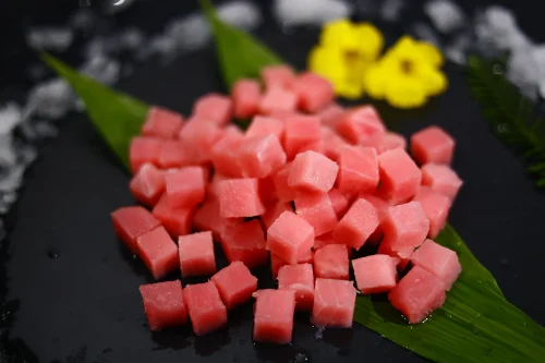 SKVN Group - MG 5519