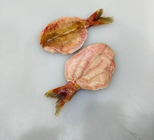 SKVN Group - z5430466761455 fe472cd2b2bcb95d6d1acc7ee1792c62