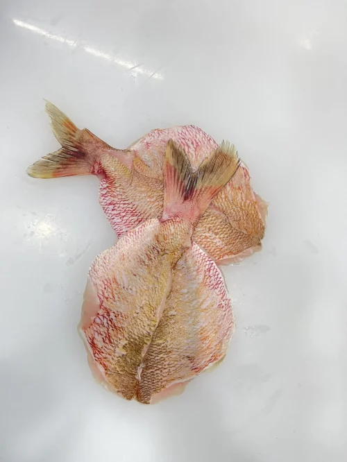 SKVN Group - z5430466924562 e8ca79f5c97ac552300bbd900363b7ab