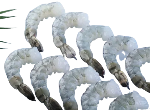 SKVN Group - BT PDTO