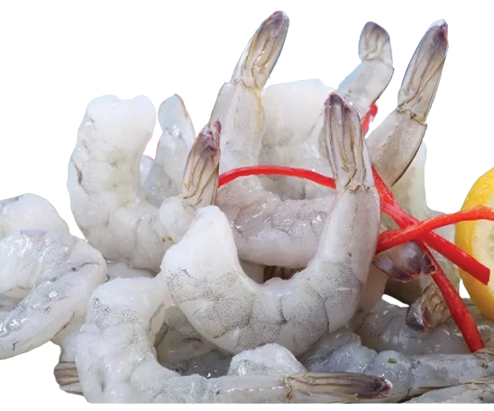 vannamei-shrimp-pdto