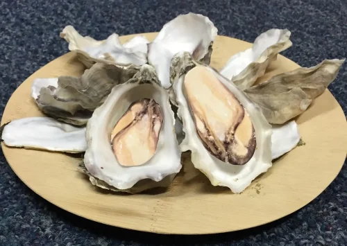 SKVN Group - oysters