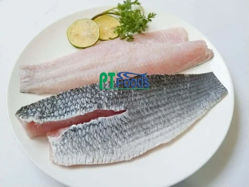 snakehead-fillet SKVN Group - snakehead fillet