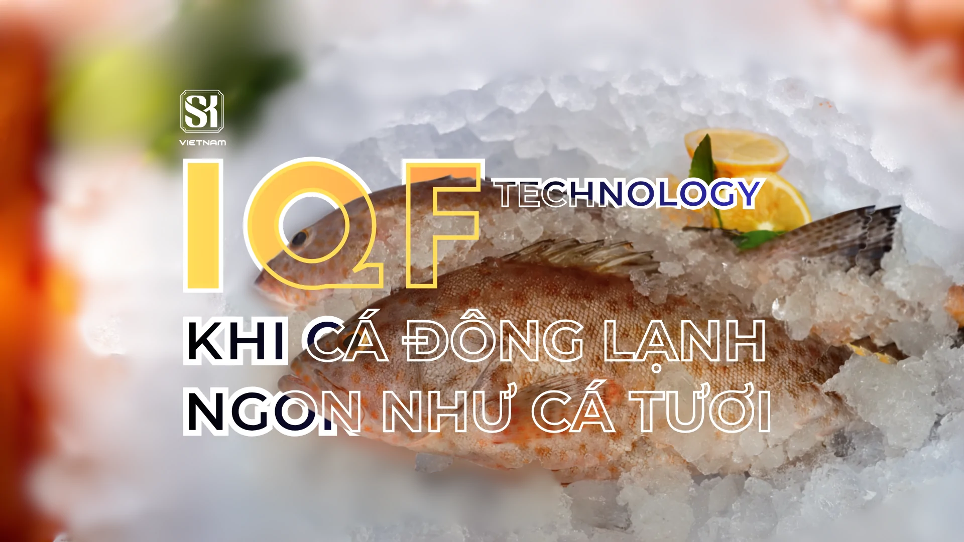 SK Vietnam - IQF Technology - Khi cá đông lạnh ngon như cá tươi cho bữa ăn gia đình